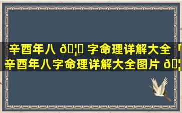 辛酉年八 🦋 字命理详解大全「辛酉年八字命理详解大全图片 🦄 」